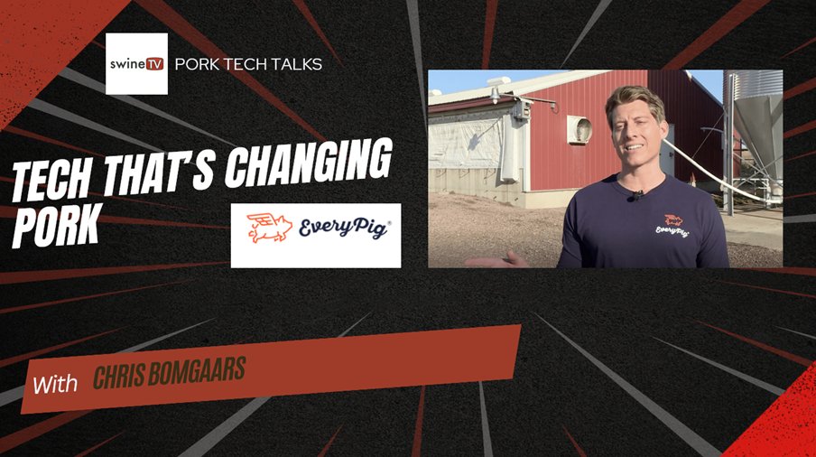 Tech That’s Changing Pork: A Conversation with Chris Bomgaars from <a href="/EveryPig/">EveryPig</a> : swineweb.com/swine-tv/tech-…