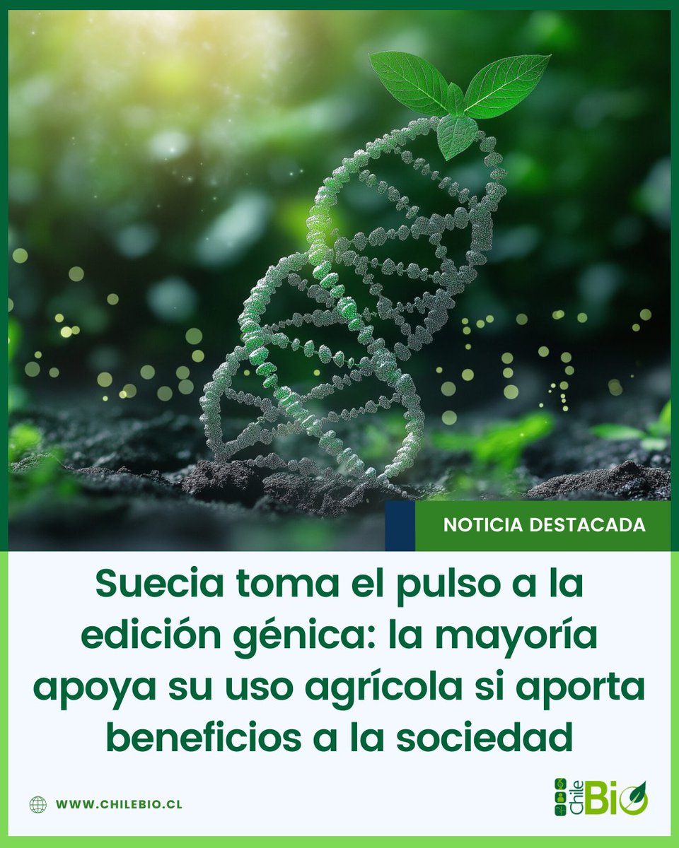 Una encuesta del Consejo Sueco de Tecnología Genética revela que +77 % del público apoya los cultivos editados genéticamente si el fin es socialmente beneficioso. Además, los jóvenes y personas informadas muestran una mayor aceptación.

bit.ly/4dOG4dS #CRISPR #biotech