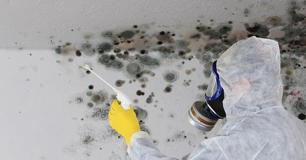 Humidity &amp; poor ventilation can create a breeding ground for mold in your home or business. ServiceMaster By Mason are experts in mold inspection, cleaning &amp; remediation, and advising on prevention methods. Call 800-934-5869 CT &amp; RI. #mold #humidity #home #healthyliving