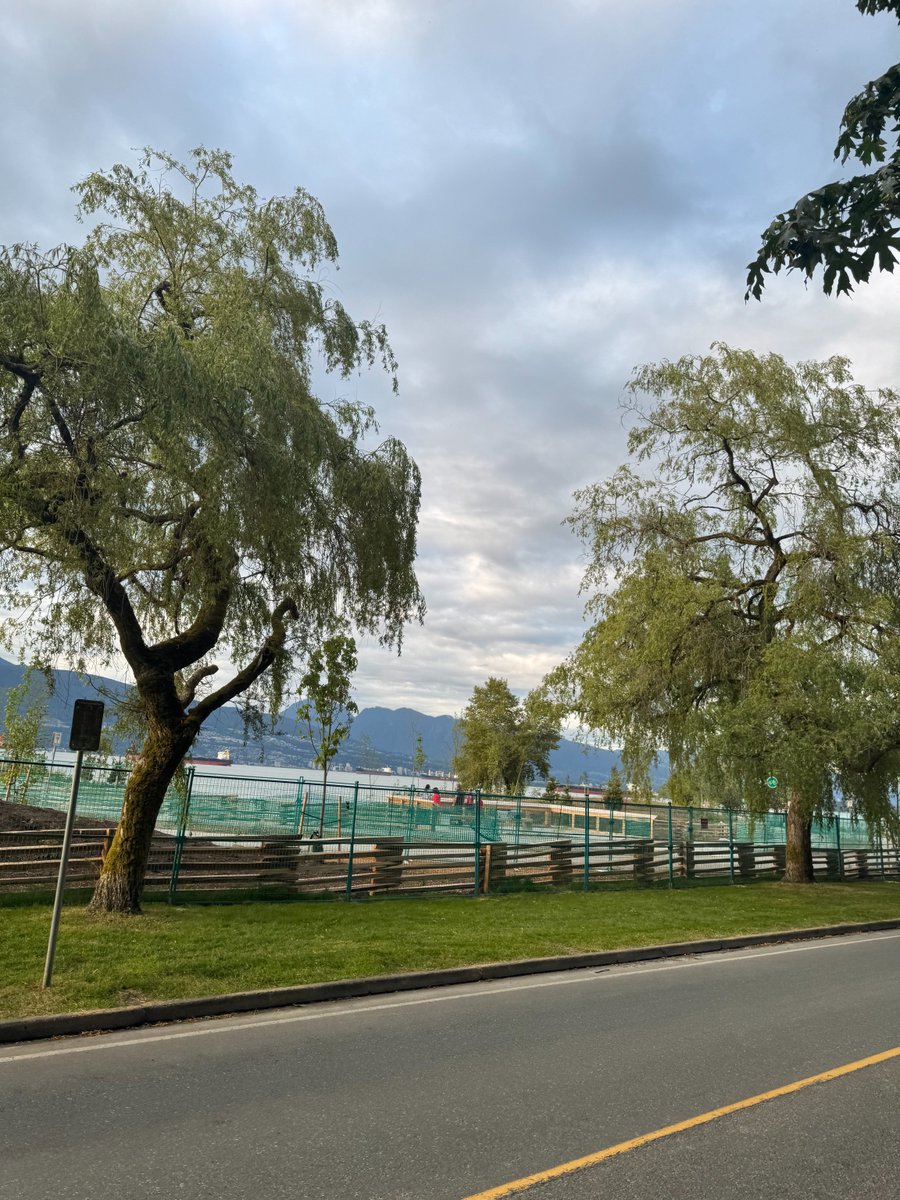 ULIBC's tweet image. It was a beauty evening for our first Cycle Club of 2025! Equipped with seeing the ecological restoration by Spanish Banks, unearthing one of the buried rivers!
Special thanks to our Cycle Club organizer, Kelly Hager!
#ULIBC #YLG #CycleClub