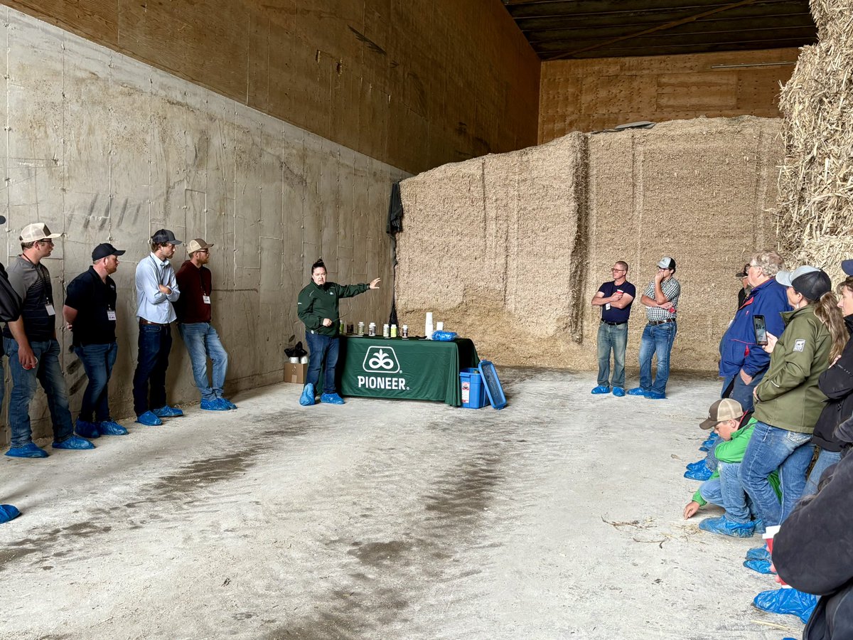 BeefFarmersON's tweet photo. Day 2 of the Feedlot Management School started with a visit to Stan &amp; Steve Eby’s farm. We enjoyed interesting discussions about silage inoculants &amp; bunk management and tag readers &amp; traceability. @BrusselsAgriSrv @ONCornFedBeef https://t.co/r26p7s1Cgo