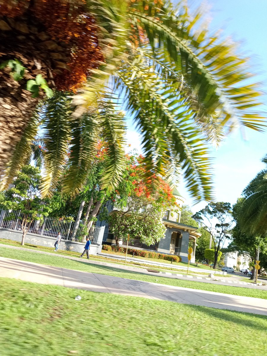 Cuba bella en sus campos y también en sus ciudades llenas de historia de un pueblo que cultiva la paz y el amor, con orgullo revolucionario. <a href="/Alexdecuba552/">Alexdecuba</a> <a href="/BrunoRguezP/">Bruno Rodríguez P</a> <a href="/cubadebatecu/">Cubadebate</a> <a href="/CubaNoEsMiami/">CubaNoEsMiami</a> <a href="/DeZurdaTeam_/">DeZurdaTeam 📳</a> <a href="/ElNecio_Cuba/">El Necio</a> <a href="/elonmusk/">Elon Musk</a> <a href="/EVilluendasC/">Enrique Villuendas</a> <a href="/EmbaCubaUS/">Cuban Embassy in US</a> <a href="/Nelsito_qba02/">Nelson Gómez</a>