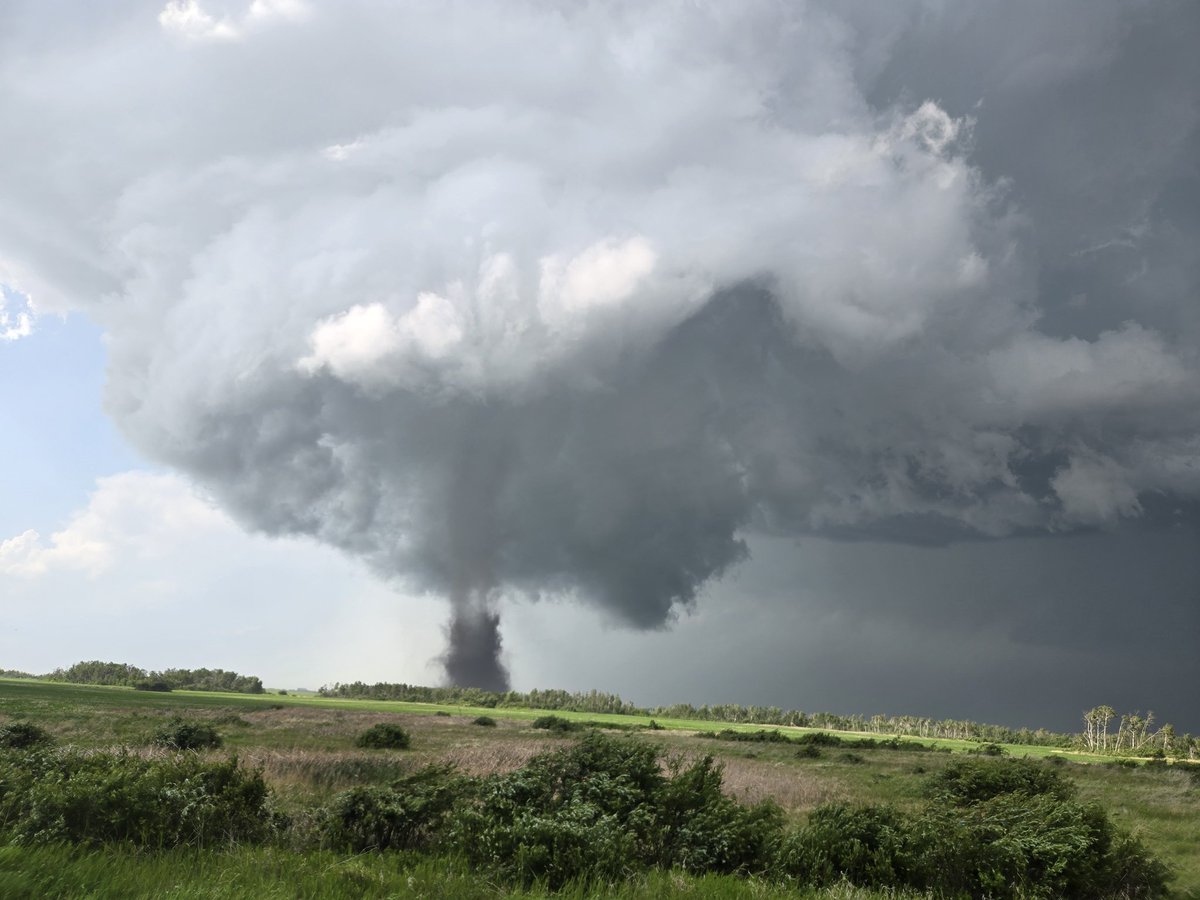 Brandon Copic tweet media