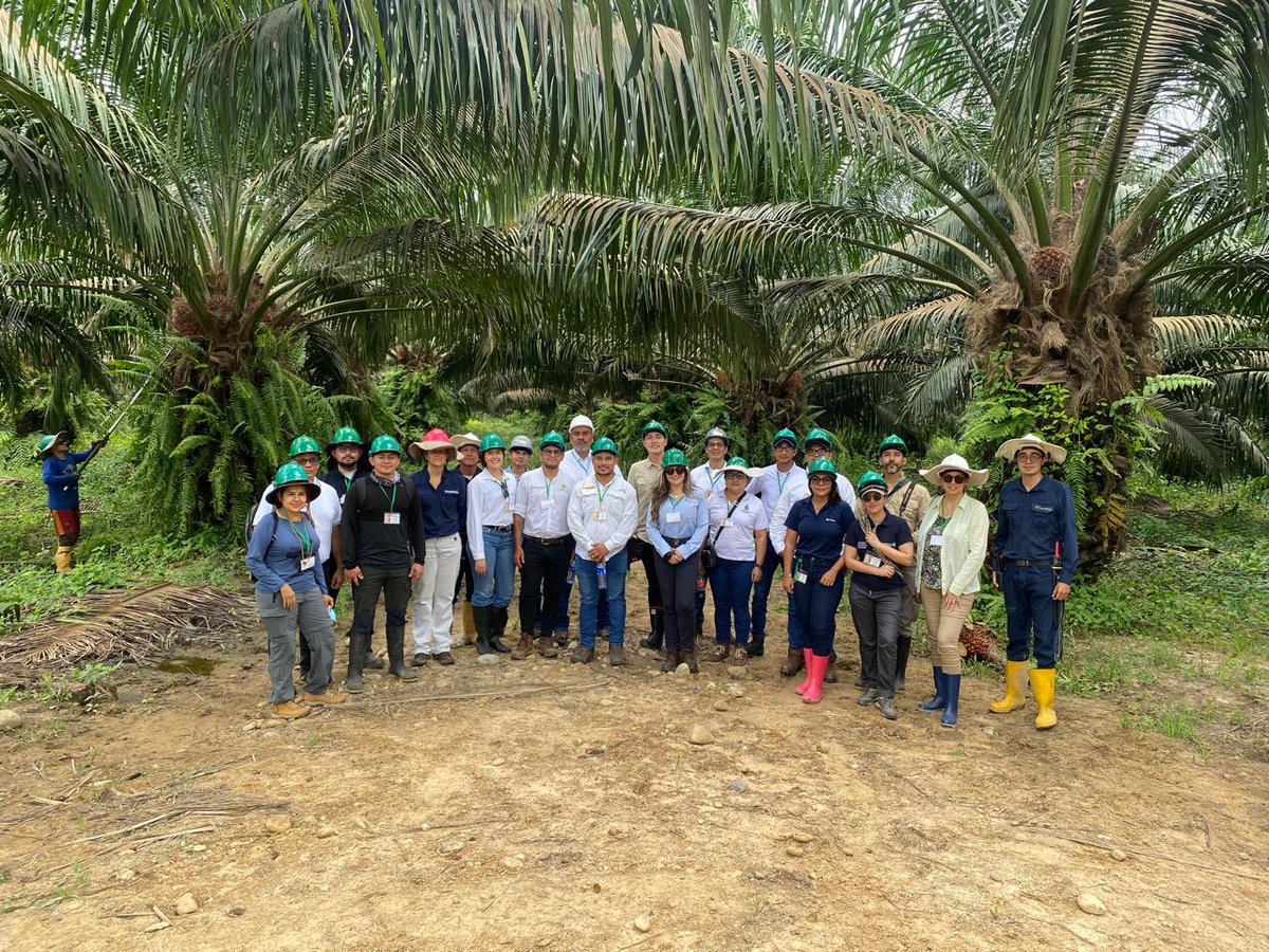 Fedepalma tweet media