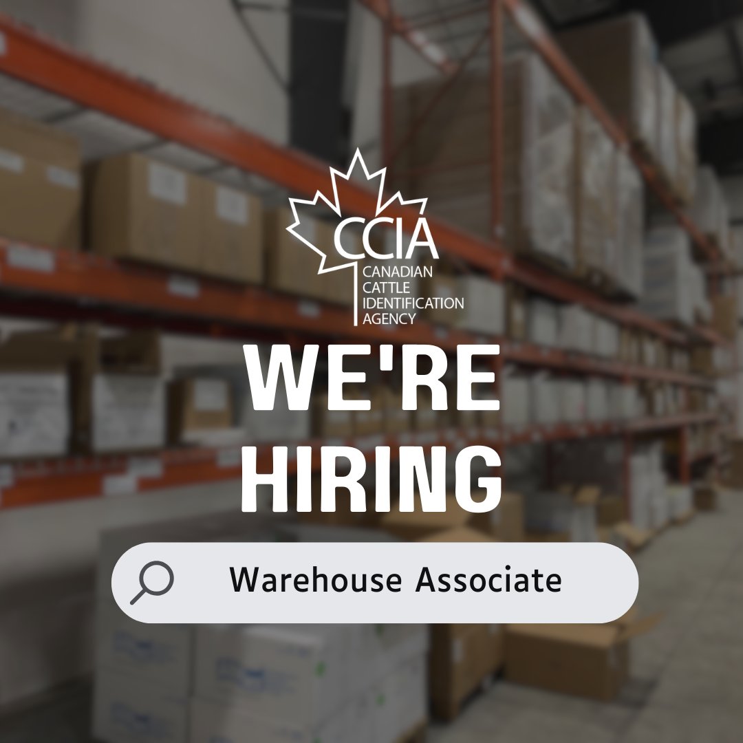 CCIA (Canadian Cattle Identification Agency) (@ccia_canada) on Twitter photo We're hiring!
Join the CCIA team as a Warehouse Associate. View the full job description at canadaid.ca/careers.
Questions? Contact hr@canadaid.ca. or learn more about CCIA at canadaid.ca . We're hiring!
Join the CCIA team as a Warehouse Associate. View the full job description at canadaid.ca/careers.
Questions? Contact hr@canadaid.ca. or learn more about CCIA at canadaid.ca .