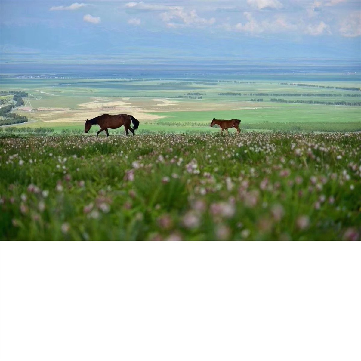 Crystal Chen (@crystal_chen_) on Twitter photo 