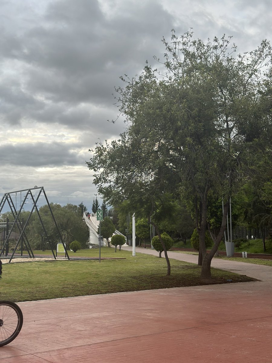 Gladis Aida Cuevas J (@glacue64) on Twitter photo Amigos buenos y
Lluviosos días
#FelizJueves
Con todo y lluvia
aquí ya se corrio💪🌧️
A nada del #mediomaraton
#Nike #AfterDarkTour
Saludos!
<a href="/logrartusmetas/">LograrTusMetas</a>
<a href="/Comunirunners/">Comunirunners</a>
<a href="/MeEncantaCorrer/">Me Encanta Correr</a>
<a href="/ManicomioRunner/">Manicomio Runner \m/ 🤪 \m/</a>
<a href="/CorroAMiPaso/">Corro A Mi Paso 🇲🇽</a>
Y tocó mojarse! Amigos buenos y
Lluviosos días
#FelizJueves
Con todo y lluvia
aquí ya se corrio💪🌧️
A nada del #mediomaraton
#Nike #AfterDarkTour
Saludos!
<a href="/logrartusmetas/">LograrTusMetas</a>
<a href="/Comunirunners/">Comunirunners</a>
<a href="/MeEncantaCorrer/">Me Encanta Correr</a>
<a href="/ManicomioRunner/">Manicomio Runner \m/ 🤪 \m/</a>
<a href="/CorroAMiPaso/">Corro A Mi Paso 🇲🇽</a>
Y tocó mojarse!