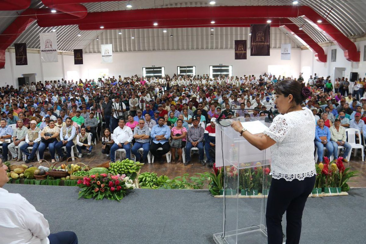Ariadna Montiel Reyes (@a_montielr) on Twitter photo En Macuspana, #Tabasco, la subsecretaria del programa #SembrandoVida, <a href="/columbalopezof/">Columba López</a>, y el gobernador <a href="/TabascoJavier/">JAVIER MAY</a> encabezaron la entrega de constancias a sembradoras y sembradores.
Hoy se reconoce oficialmente su labor en la regeneración del territorio, el cuidado de la En Macuspana, #Tabasco, la subsecretaria del programa #SembrandoVida, <a href="/columbalopezof/">Columba López</a>, y el gobernador <a href="/TabascoJavier/">JAVIER MAY</a> encabezaron la entrega de constancias a sembradoras y sembradores.
Hoy se reconoce oficialmente su labor en la regeneración del territorio, el cuidado de la