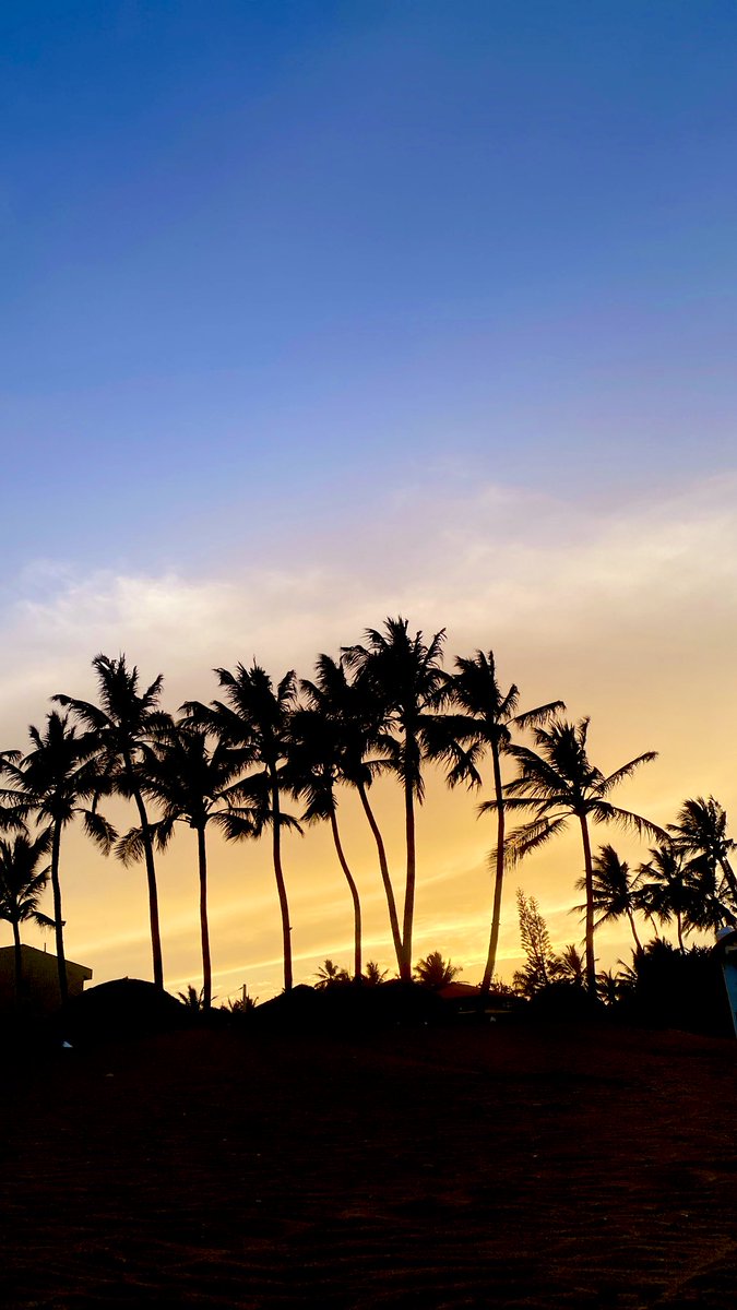 Pedreson1's tweet image. 📍Cabarete