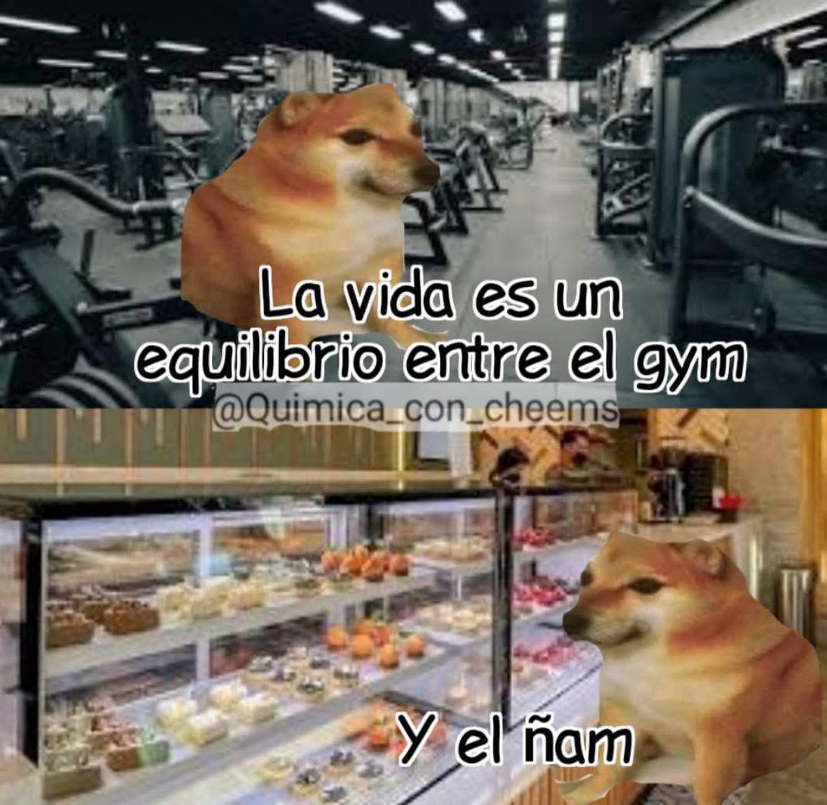 nacional_memes's tweet photo. 🐶 https://t.co/6IMQHps8gq
