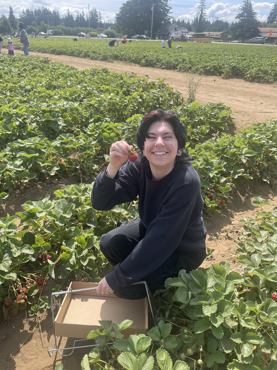 _schlime's tweet photo. My husband took me berry picking today and being outside in the sun with them makes the world go round. https://t.co/vrweK9NpOE