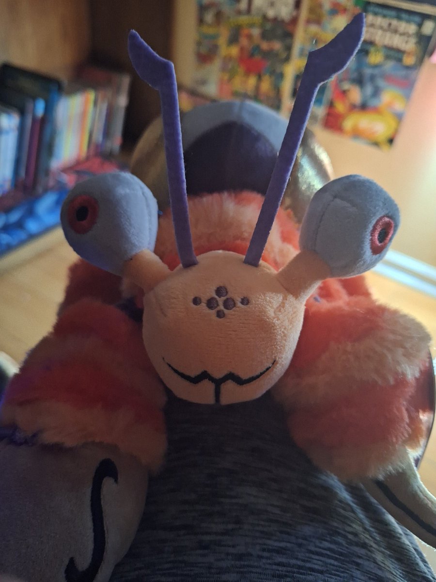 _Unl0gical_'s tweet image. MY BABY BUZZINGA IS FINALLY HOMEEEEEE😭😭😭😭