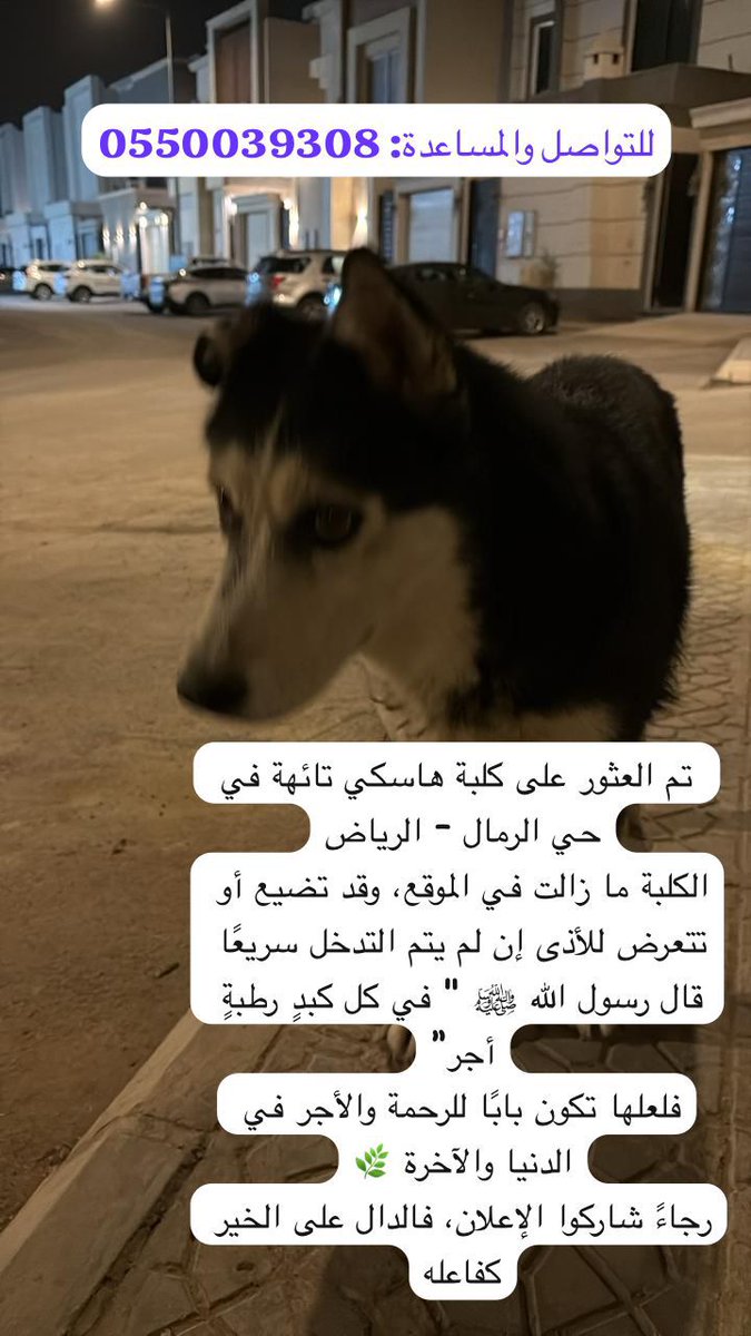 #انقاذ #عاجل #الرياض