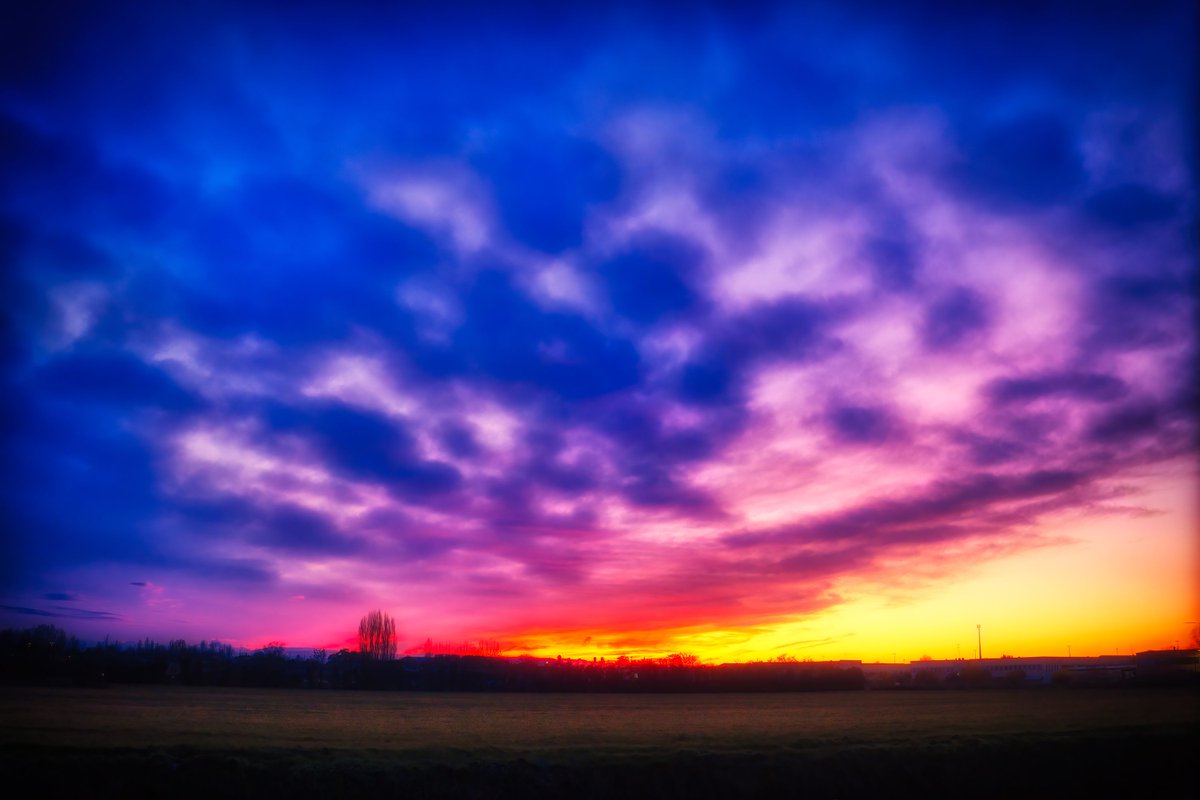 Vivida 🌻 (@vividaphotopc) on Twitter photo 