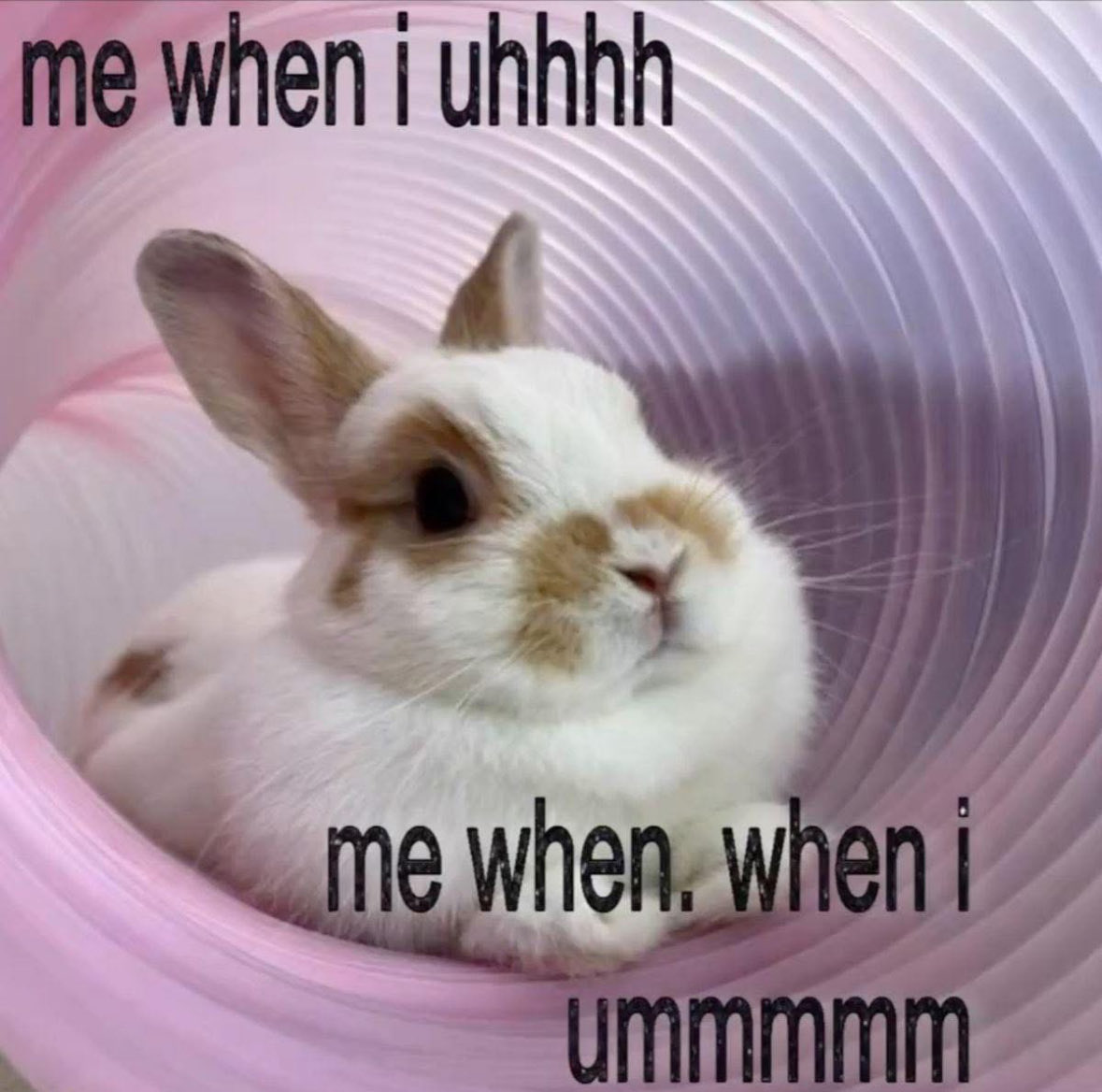 Respectful Memes (@respectfulmemes) on Twitter photo 