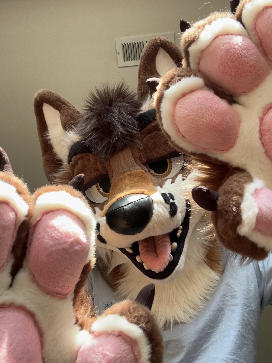 More paws for you all <3