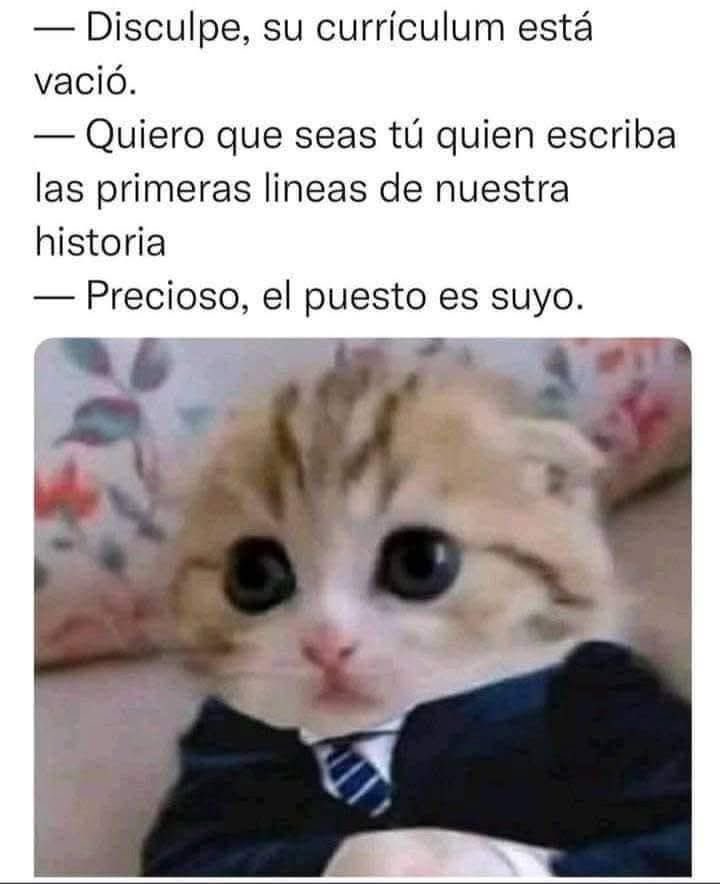 LKR Domínguez A tweet media