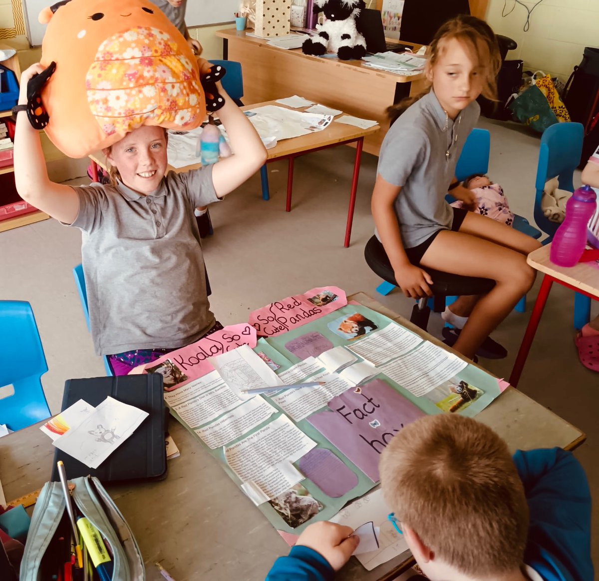 Scoil Bhríde Nurney tweet media