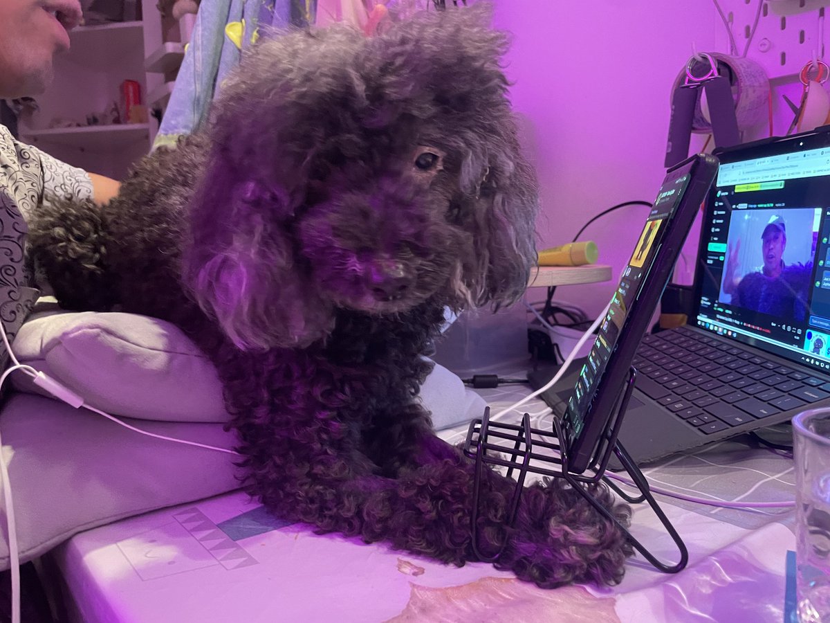 Savejupite17908's tweet photo. Pics from tonigh's LIVE STREAMING on @pumpdotfun
$JUPJUP #memecoin #Memes #SolanaMemeCoin #JUPARMY #JUPFAM #pumpdotfun https://t.co/RxP2sXg2uE