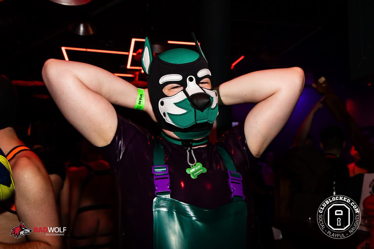 Pacer.dog (@switchpacer) on Twitter photo Manchester, I am in you! Time to get shiny!
Who’s around?
📸:<a href="/BadWolfPhotos/">Bad Wolf Photography 🔜 GearblastUK ➡️ Folsom EU</a> Manchester, I am in you! Time to get shiny!
Who’s around?
📸:<a href="/BadWolfPhotos/">Bad Wolf Photography 🔜 GearblastUK ➡️ Folsom EU</a>