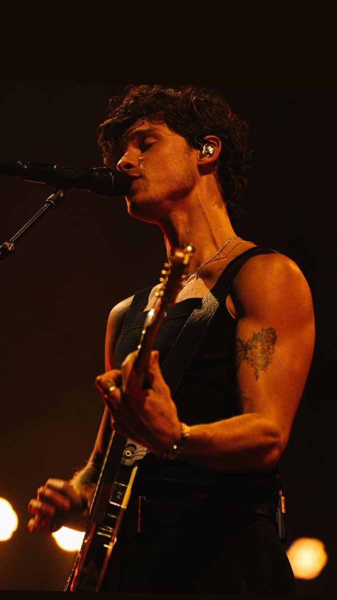 shawn mendes on stage >