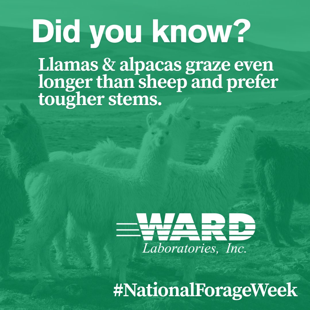 Ward Laboratories, Inc. tweet media