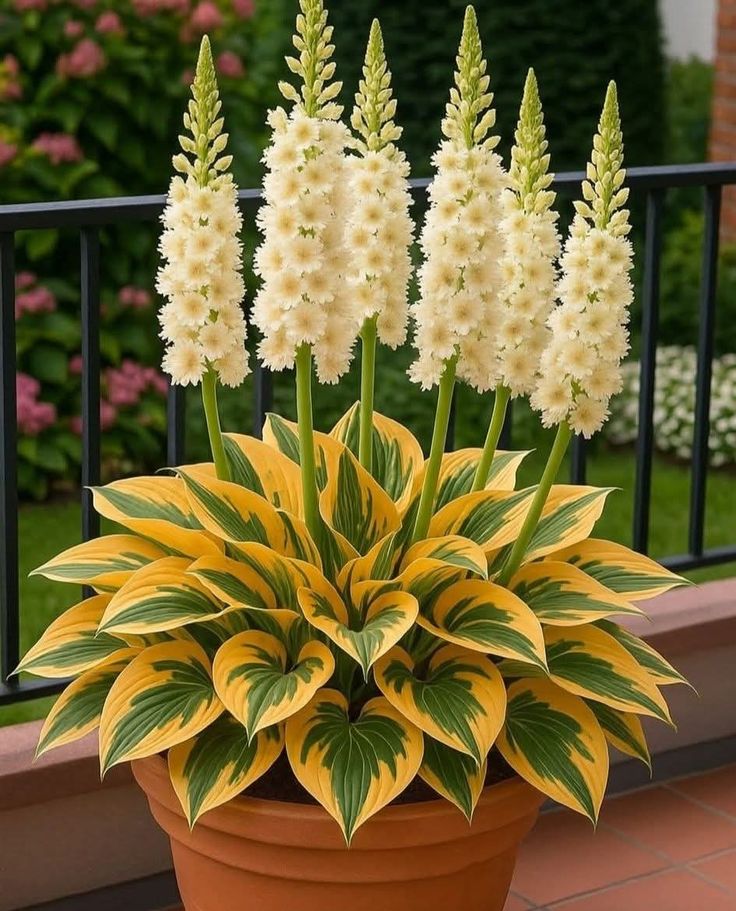 #GPG🌹
<a href="/Ghz21/">⍟𝐆𝐡𝐚𝐳𝐚𝐥𝐚 𝐒𝐚𝐝𝐚𝐟⍟</a> <a href="/Ghz97/">✪𝗚𝖍𝖆𝖟𝖆𝖑𝖆𝖍 𝗦𝖆𝖉𝖆𝖋✪</a>
<a href="/Fat9T/">Arshia🥀🍂</a> <a href="/Lub_03/">✿𝖑𝖚𝖇𝖓𝖆 𝑨𝖑𝖎✿</a>
<a href="/m81mh/">Muhammad Hilal</a> <a href="/oz2au/">özleⓂ️#Nika -ོ 🫶𓅱ོ-</a>
<a href="/80pti/">Danakhan..💝</a> <a href="/4mir_8/">Aamir Hayat Awan</a>
<a href="/zz70m/">🌸Ameer Zahir🇵🇰</a> <a href="/PRx9k/">𝑷𝒓𝒊𝒏𝒄𝒆𝒔𝒔 𝑹𝒐𝒔𝒆❖</a>
<a href="/IK76_/">𝓢𝓪𝓳𝓳𝓪𝓷</a> <a href="/Hfz48/">Hᴀғᴇᴇᴢᴀʜ Aᴋʙᴀʀ</a>
<a href="/bnte_/">بـٌـٌٌـٌٌٌـٌٌـٌنـِِـِـتـٌـٌٌـ۔</a> <a href="/1Aara_/">○° آراءخان°○</a>
<a href="/11usx/">Մsตαղ Cɦeeɱα✪</a> <a href="/glmsjd/">𝑺𝒂𝒋𝒋𝒂𝒅 ✨</a>
<a href="/florchicana/">Selene  𝕏🖤Perfectly imperfect 🖤❌DM❌</a>
<a href="/Lila__777/">❣__لیلی__❣</a>
<a href="/MNPTi1/">𝟏.𝟐𝐌👑⃟≛⃝𝔐𝔲𝔫𝔰𝔦𝔣🕊️⃟⋆ ابوسلم ≛⃝🔶</a>
<a href="/nor3rh/">💎Nor elrhman💎</a>
<a href="/Hfz672/">Hafeez❤🖤💚</a>
<a href="/Mir44_/">Sᴍoͥkeͣrͫ ོ 🦅</a>
<a href="/nor3rh/">💎Nor elrhman💎</a>
<a href="/1GPTI/">🅖🅤🅛🙋‍♀️</a>
<a href="/Ai092_/">𝘼𝙡𝙞</a>
<a href="/As_t40/">𝐀 𝐒𝐚𝐭𝐭𝐚𝐫</a>
<a href="/khg_82/">KHAN G</a>
<a href="/bndy66/">Asil khawaja 55</a>
<a href="/kn_jui/">Bakht Zada🇵🇰f💯</a> <a href="/Pti7k/">𝐿𝒶v𝑒𝑒𝓏𝒶_🍃</a>
<a href="/Oz1au/">ÖzleⓂ️ #NikaShakarami -ོ</a> <a href="/A_2SF/">S Rahe</a> 
<a href="/Ghz21/">⍟𝐆𝐡𝐚𝐳𝐚𝐥𝐚 𝐒𝐚𝐝𝐚𝐟⍟</a> <a href="/m80mh/">Muhammad Hilal</a> <a href="/Ghz79/">❃ 𝔾𝕙𝕒𝕫𝕒𝕝𝕒𝕙 𝕊𝕒𝕕𝕒𝕗 ❃</a>