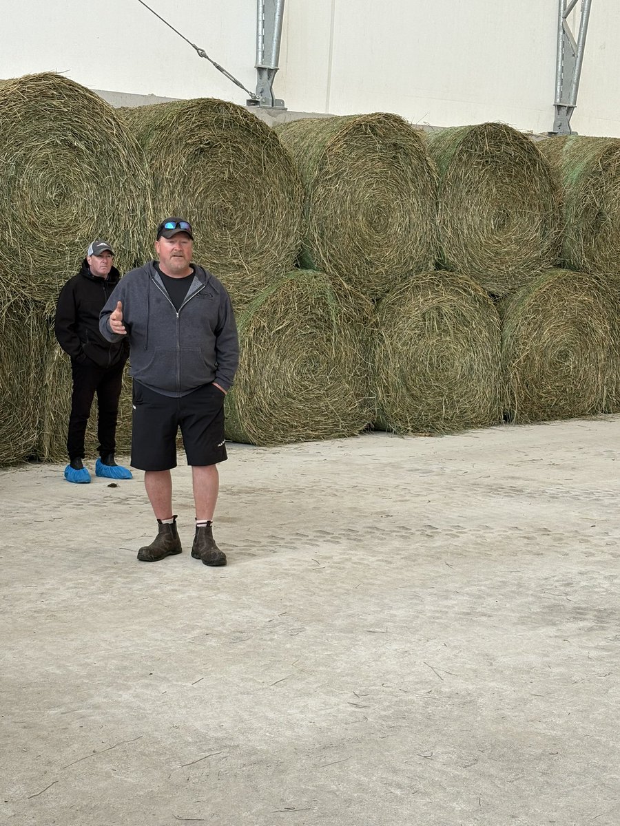 Beef Farmers of Ontario tweet media