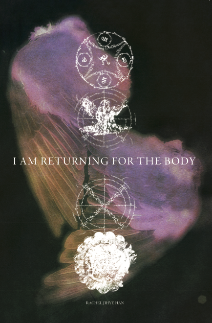 Switchback Books tweet media