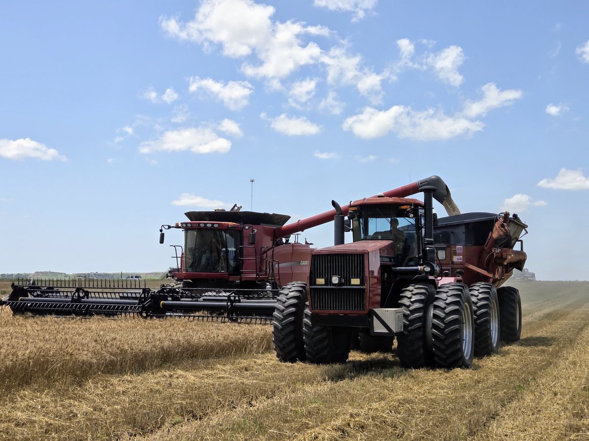 Drake Gard (@drakegard1) on Twitter photo 