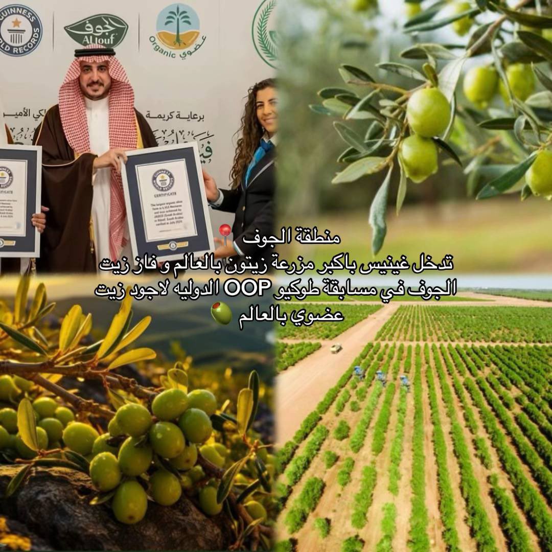 المزارع في #السعودية و موسوعة غينيس 🇸🇦