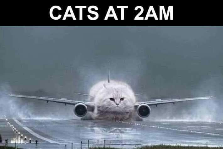 Gt1EW3iWsAAIsH7