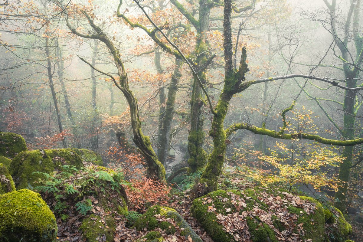 nigeldanson's tweet image. The Gathering