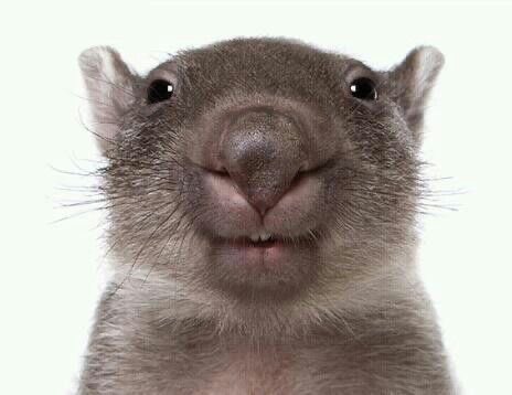 this is not a picture      it's your reflection