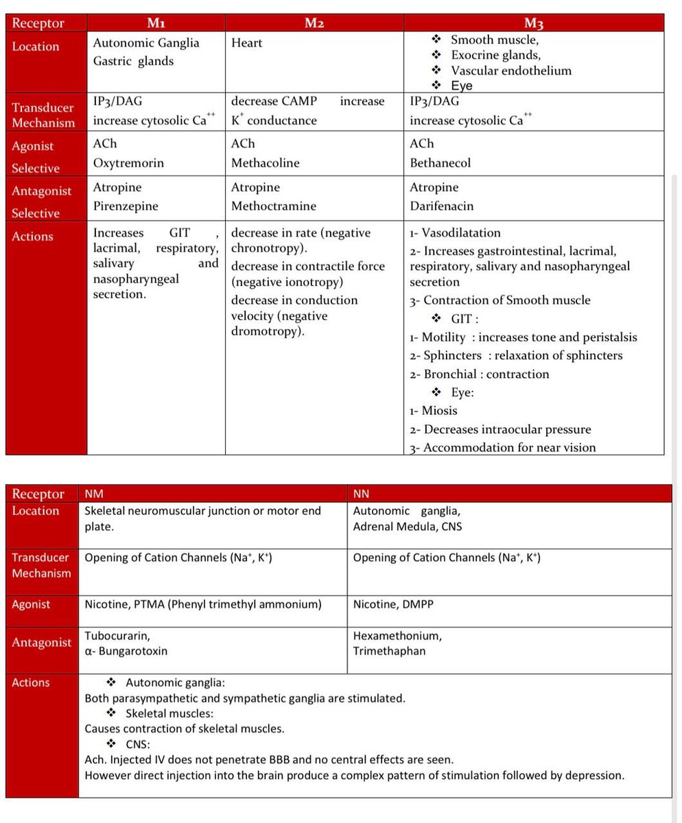 bajawi1997's tweet photo. ملخصنا اليوم عن مستقبلات adrenergic and cholinergic receptors  
الأنواع 
كل مستقبل و فين مكانه 
تأثيراته على الجسم و ايش ممكن يسوي 
بيفيدكم كثير خصوصا الي توهم بادين بالصيدلة 👏 https://t.co/MJaKh51dHN