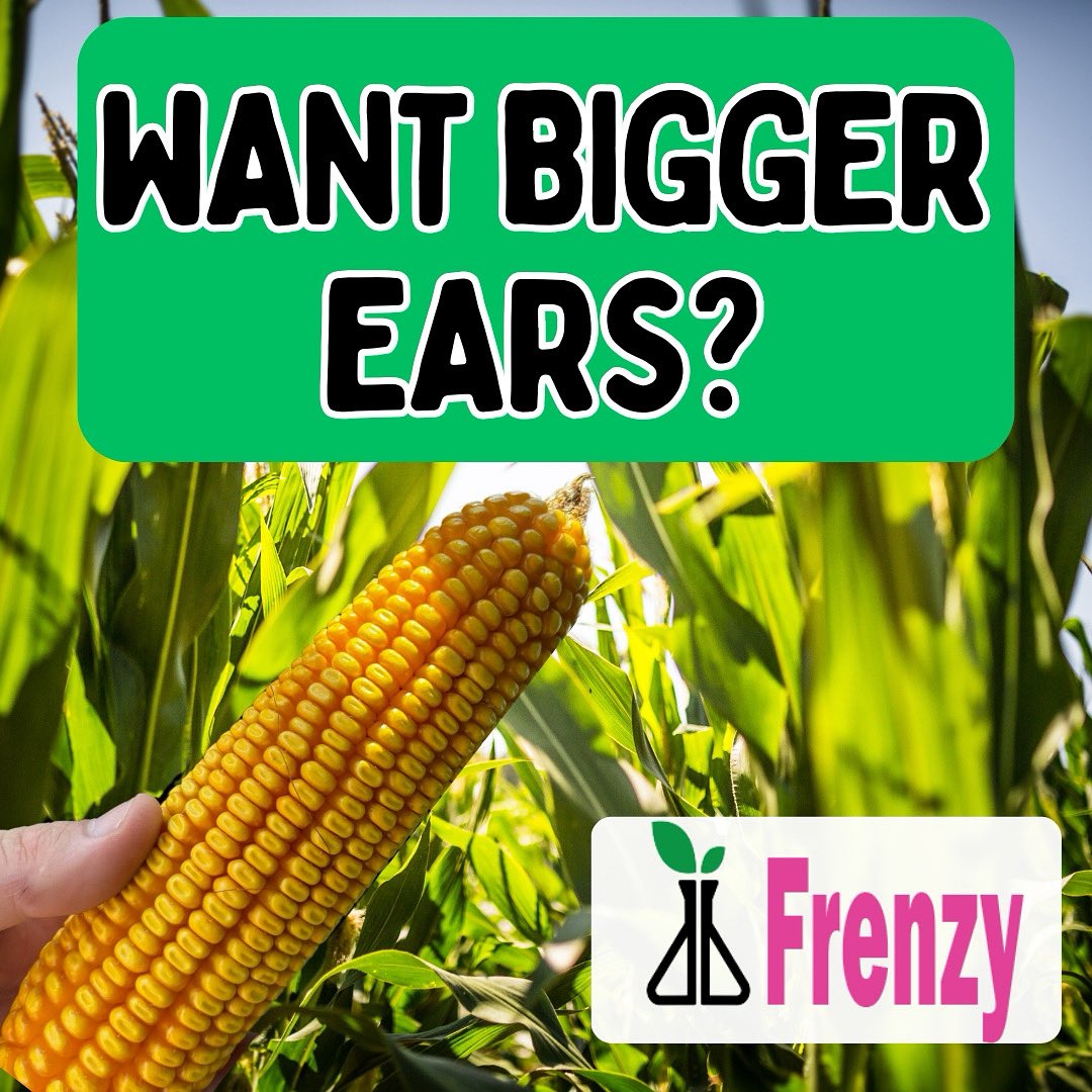 Size matters, here’s how Frenzy can help ⬇️

Frenzy increases rows around.

Frenzy increases ear length.

Frenzy increases stress mitigation by 52x.

Call now, 833-DAKOTAB

#dakotabio
