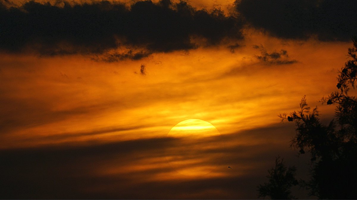 Ăngel GalĂĄn, el temps amb fotografies. (@angelgalanmont) on Twitter photo El cel i el sol. đžfetes a les 21:00h. a Verges <a href="/meteocat/">Meteocat</a> <a href="/sarai_sarroca/">Sarai Sarroca</a> <a href="/sibilafc/">Silvia Ferrer</a> <a href="/AEMET_Cat/">AEMET_Cataluña</a> <a href="/SoniaPapell/">SĂČnia Papell</a> <a href="/TomeuRigoR/">Tomeu Rigo</a> <a href="/SergiLoras/">Sergi Loras</a> <a href="/eliseuvilaclara/">Eliseu Vilaclara</a> <a href="/acam_cat/">ACAM</a> <a href="/alfons_pc/">Alfons Puertas</a> <a href="/meteorac1/">Meteorologia RAC1</a> <a href="/tempsdemeteo/">Temps de MĂ©teo</a> <a href="/Oriol_RB/">Oriol RodrĂguez Ballester</a> <a href="/ARAmeteo/">ARA MĂ©teo</a> <a href="/MeteoredES/">Meteored | tiempo.com</a> <a href="/gemmapuigf/">Gemma Puig Feliu</a> #eltempsTV3 <a href="/GrupCMI/">ClimaMeteoInfo</a> #CMI <a href="/btveltemps/">btv el temps</a> #sol El cel i el sol. đžfetes a les 21:00h. a Verges <a href="/meteocat/">Meteocat</a> <a href="/sarai_sarroca/">Sarai Sarroca</a> <a href="/sibilafc/">Silvia Ferrer</a> <a href="/AEMET_Cat/">AEMET_Cataluña</a> <a href="/SoniaPapell/">SĂČnia Papell</a> <a href="/TomeuRigoR/">Tomeu Rigo</a> <a href="/SergiLoras/">Sergi Loras</a> <a href="/eliseuvilaclara/">Eliseu Vilaclara</a> <a href="/acam_cat/">ACAM</a> <a href="/alfons_pc/">Alfons Puertas</a> <a href="/meteorac1/">Meteorologia RAC1</a> <a href="/tempsdemeteo/">Temps de MĂ©teo</a> <a href="/Oriol_RB/">Oriol RodrĂguez Ballester</a> <a href="/ARAmeteo/">ARA MĂ©teo</a> <a href="/MeteoredES/">Meteored | tiempo.com</a> <a href="/gemmapuigf/">Gemma Puig Feliu</a> #eltempsTV3 <a href="/GrupCMI/">ClimaMeteoInfo</a> #CMI <a href="/btveltemps/">btv el temps</a> #sol