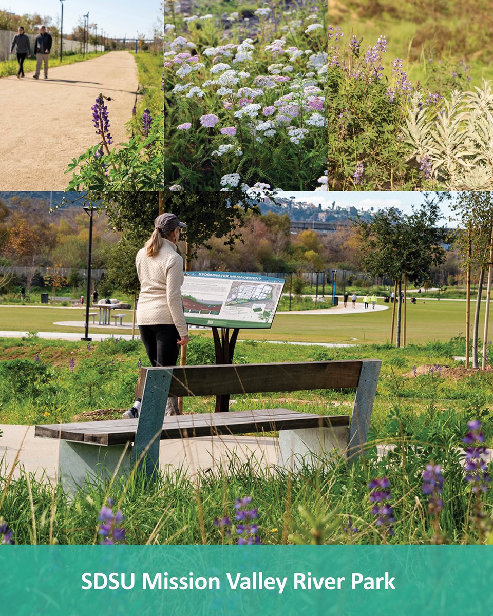 Schmidt Design Group tweet media