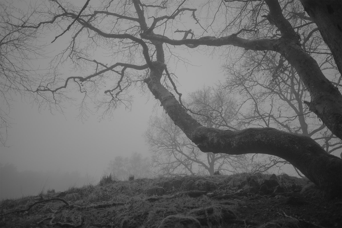 Alexander (@juststrangefeel) on Twitter photo 