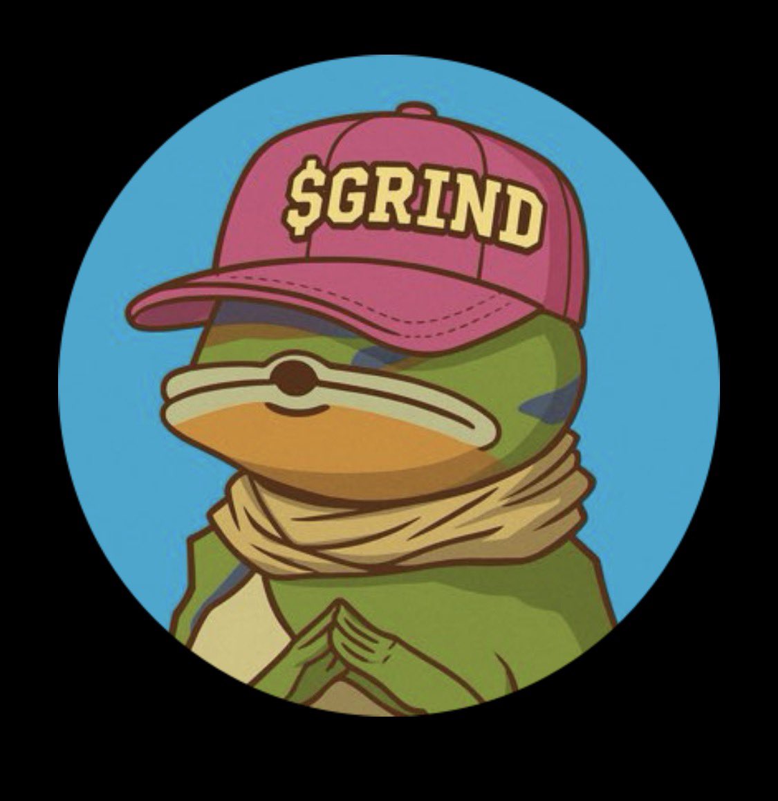 Magnus MacGregor 🐸 tweet media