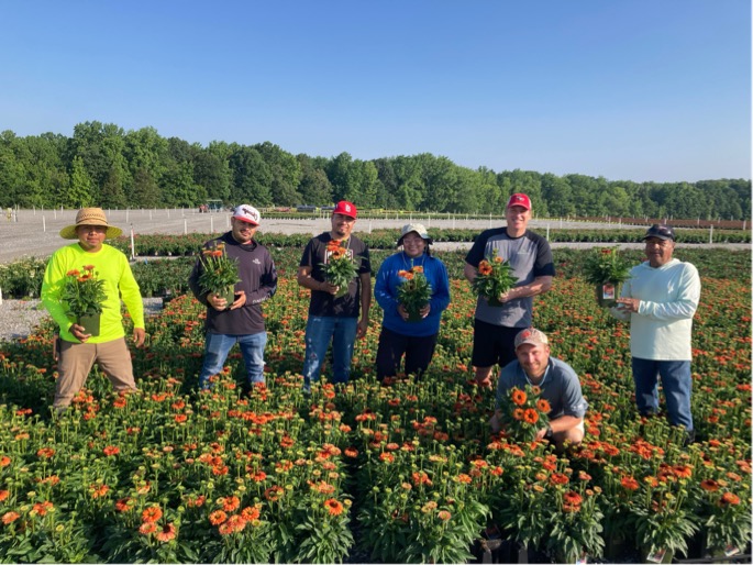 This week's plant pick was chosen by the Farm 4 team in York, SC. Grower Manager Chris Sherrill says, "We selected Echinacea because it is a versatile, widely used perennial that requires low maintenance and looks really nice in lots of different garden designs." (ALT for more)