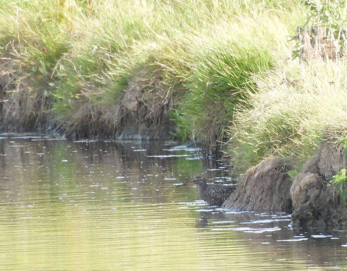 Steve Waite tweet media