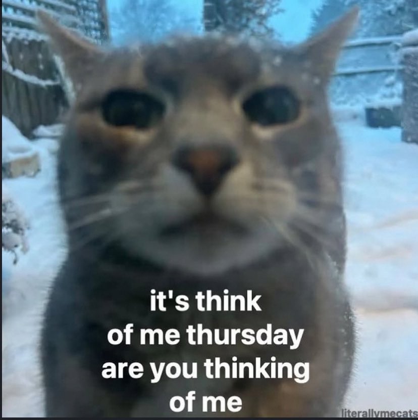 horse dentist (@equine__dentist) on Twitter photo 