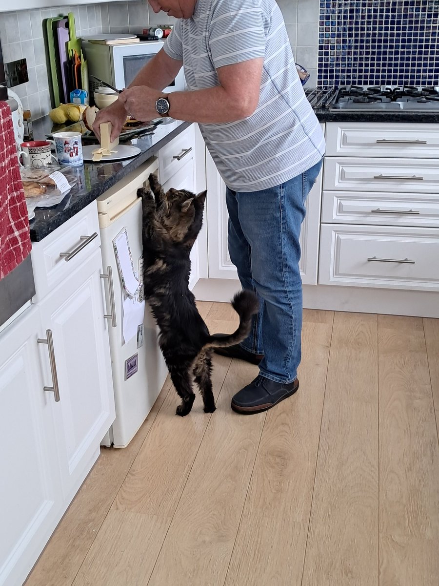 Bossing it! tweet media