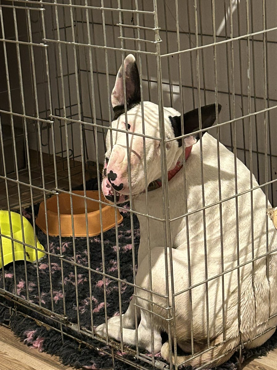 Mame, czemu głaszczesz synka Kaja, a mi każesz iść spać?