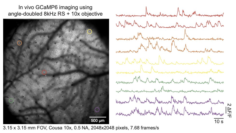Spencer LaVere Smith tweet media