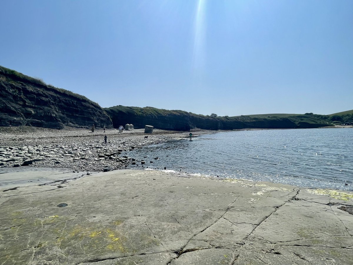 TeaWithEmilia's tweet image. 2/2 And she loved to go rockpooling - sadly the tide was in today so I couldn’t see the rockpools but the village is very picturesque and a lot of the houses have characteristic thatched roofs and flowers on the walls! Worth a visit!
#kimmeridge #rockpools