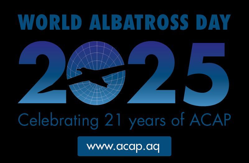 Seabirders's tweet image. 🌍 Today is World Albatross Day 🐦
The theme for this year’s #WorldAlbatrossDay is "Effects of Disease", highlighting growing threats to albatrosses and ACAP-listed petrels.
🔗 Learn more bit.ly/3HM9Kg1
#WAD2025 #AlbatrossDay #SeabirdConservation #ACAP #OceanHealth