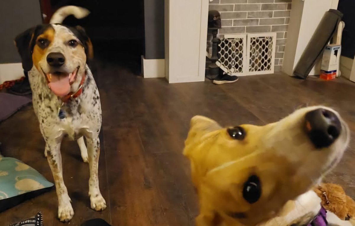 GroundsofBattle's tweet image. My wards. Odin and Lovecraft.