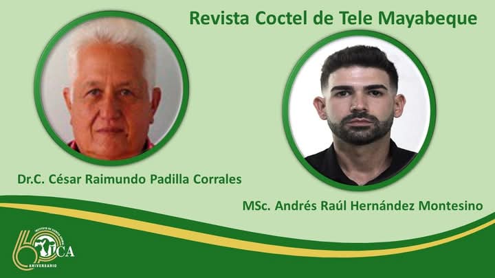 JORNADA ANIVERSARIO 60 DEL INSTITUTO DE CIENCIA ANIMAL
En el año del Aniversario 60 del ICA, el Dr.C. César Raimundo Padilla Corrales y el MSc. Andrés Raúl Hernández Montesino, comparecen hoy jueves 19 de junio en la Revista Coctel de Tele Mayabeque.
#Cuba #ICACuba #ICA60Años
